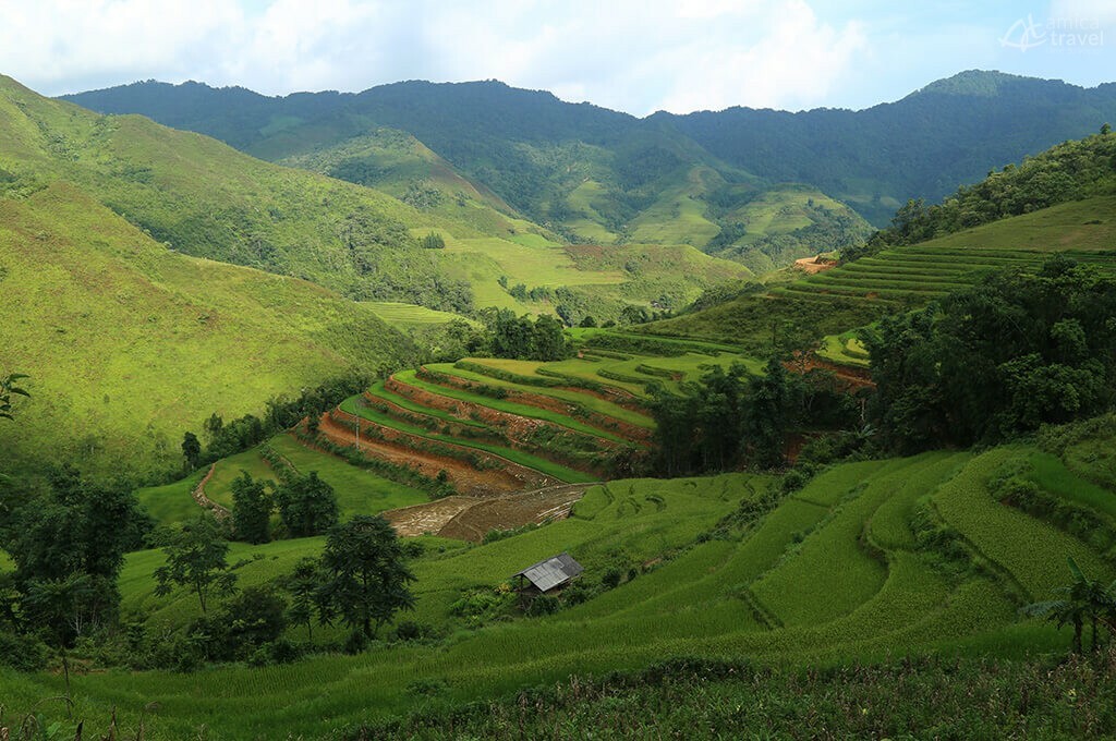 rizières en terrasse à bac ha vietnam