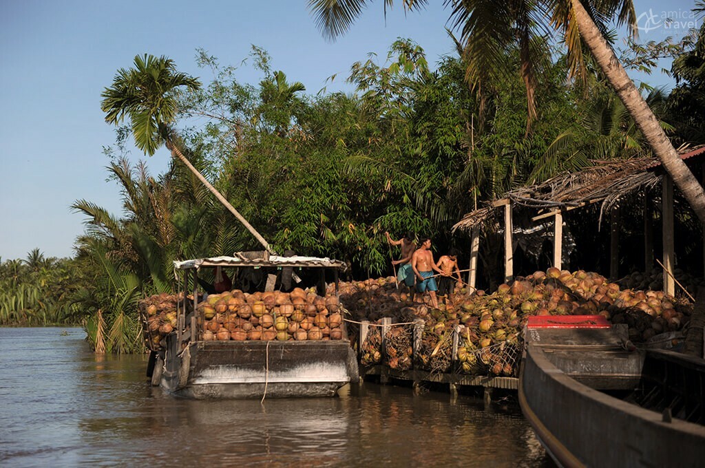 Jungle de cocotiers, Ben Tre Jungle de cocotiers Ben Tre