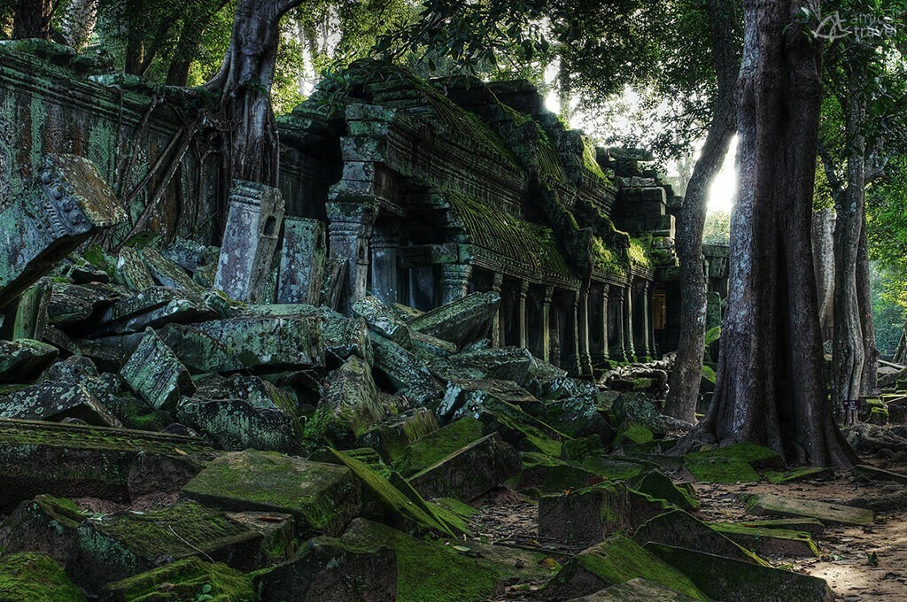 Ta Prohm Cambodge