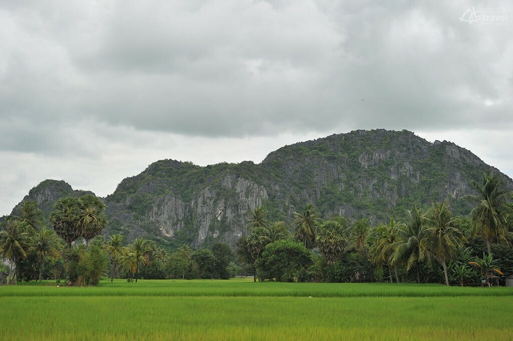 riziere Kampot Cambodge