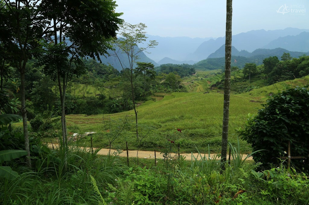 La série de rizières en terrasses depuis Pu Luong Home paysage environnant pu luong home