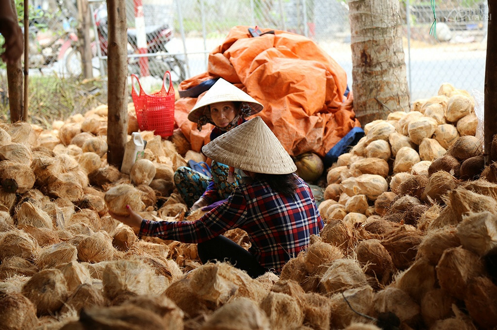 travail noix de coco