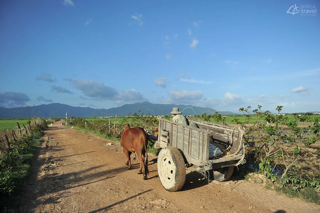 Sur les terres Cham panduranga terre des cham
