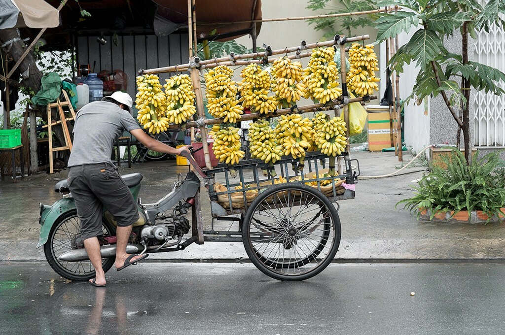 Vendeur de fruits, delta du Mékong vendeur de fruits delta mekong