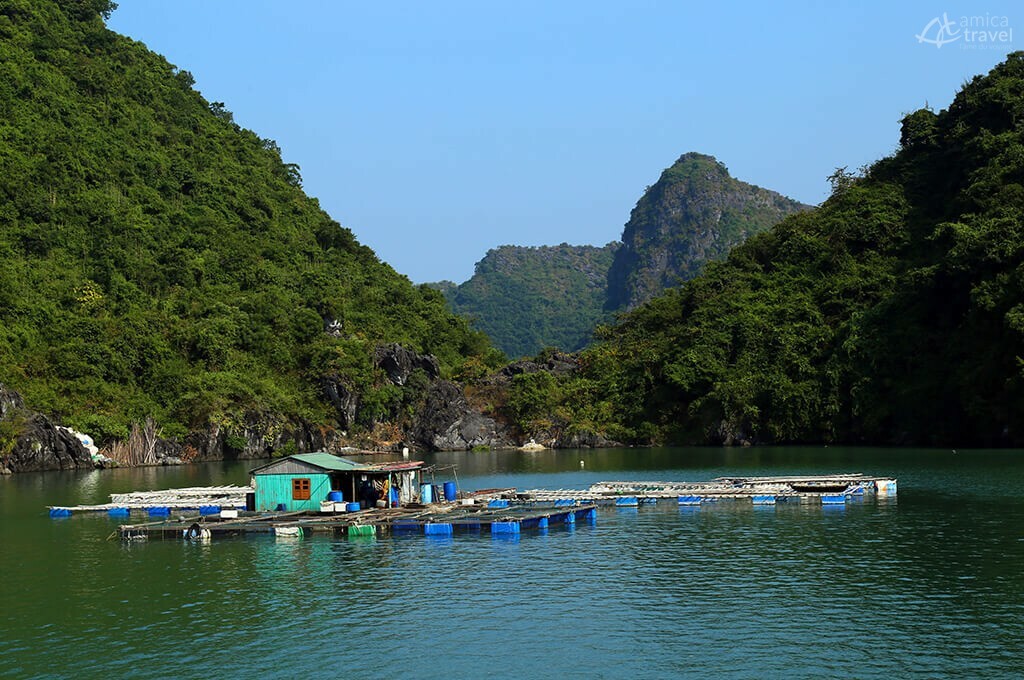 Village de pêche baie d'Halong
