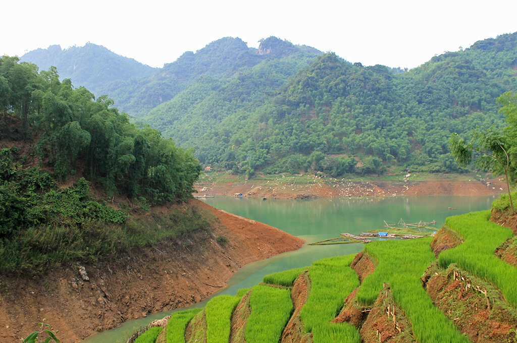 rizieres terrasses sur rives lac hoa binh