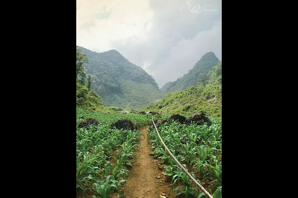 randonnee Thong Nong Cao Bang Vietnam