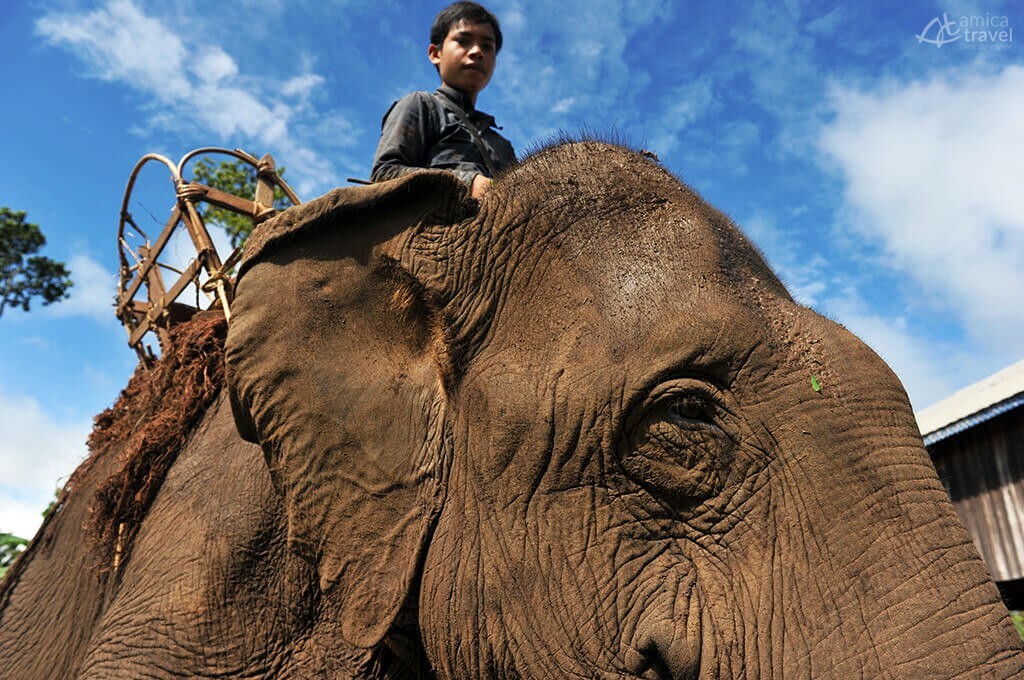enfant mnong Cambodge