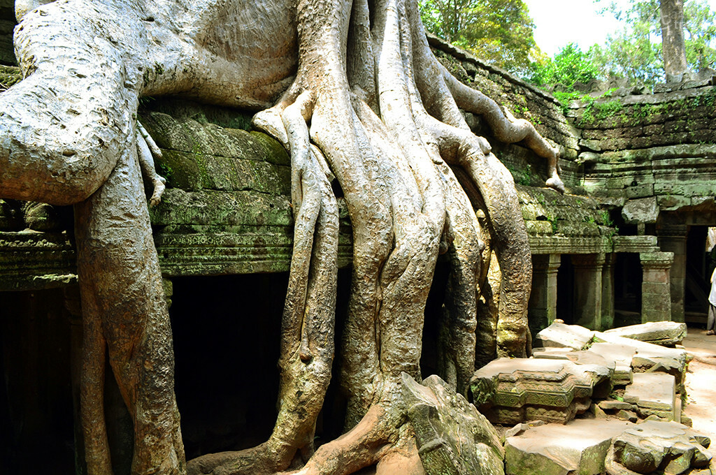 parc archeologique temples angkor