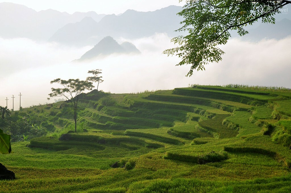rizières en terrasse pu luong thanh hoa