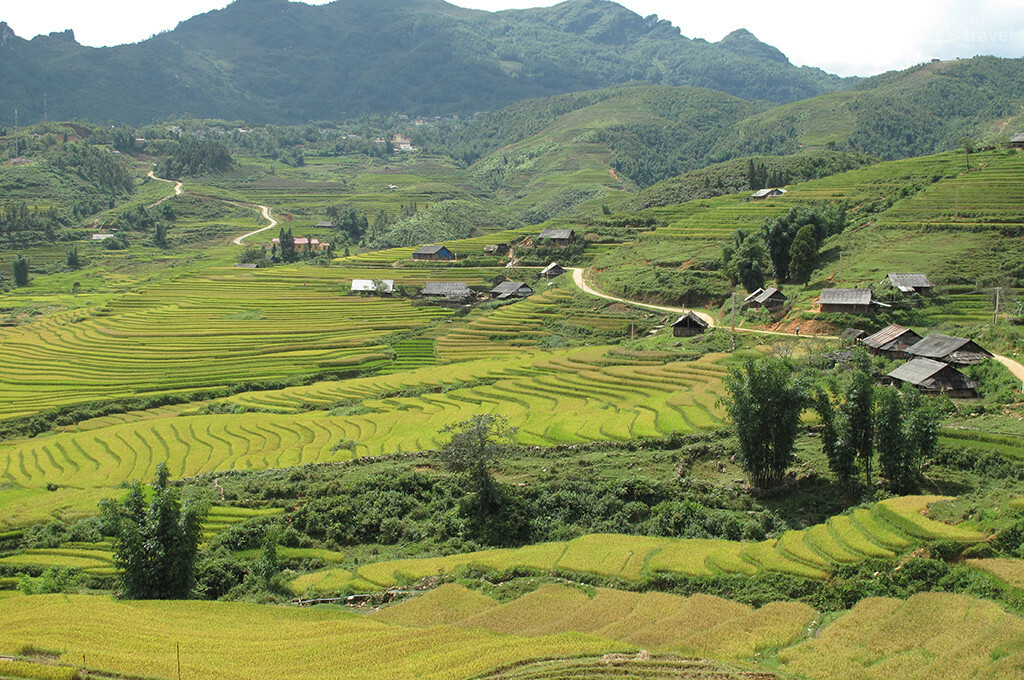 vallee rizicole ta phin