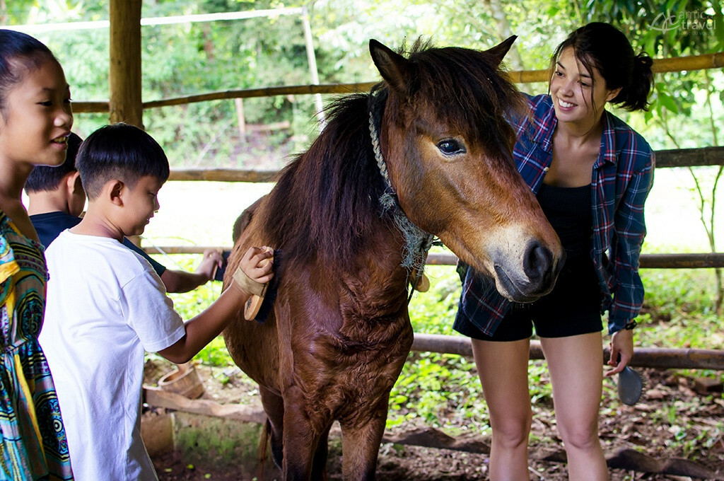 L'écurie de lodge visite ecurie