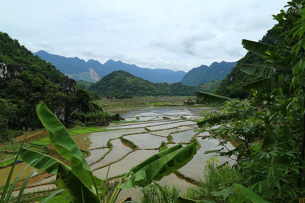 rizières en terrasse pu luong vietnam