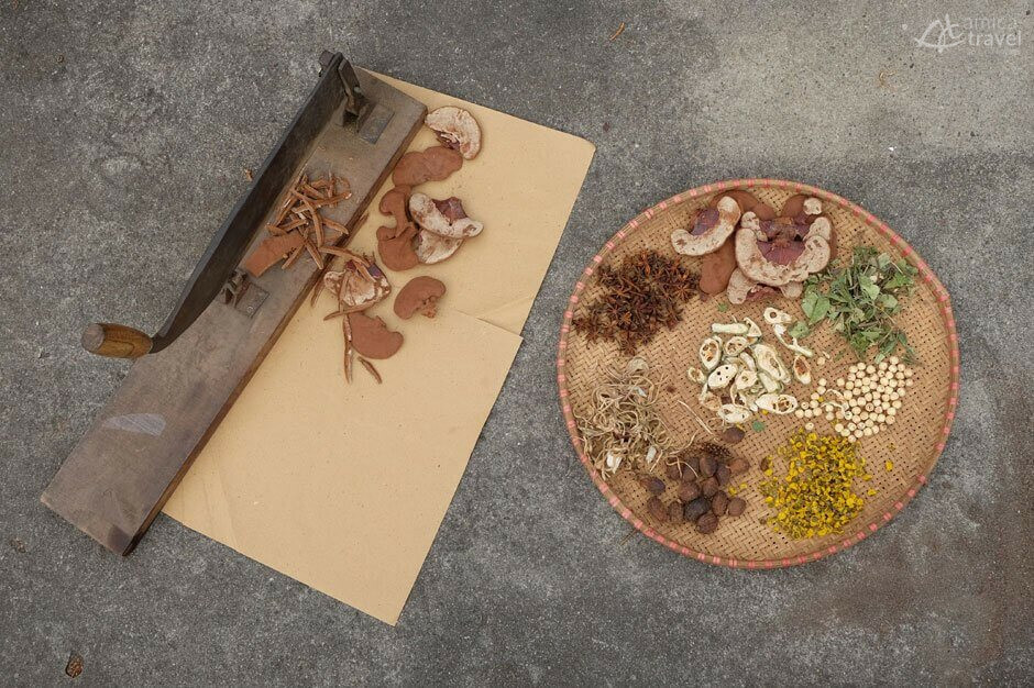 herbes plantes médicinale marron