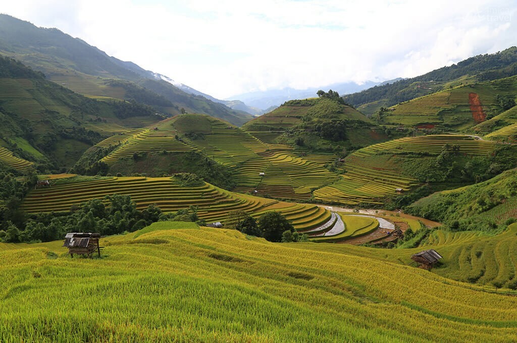 rizieres en terrasse yen bai nord vietnam