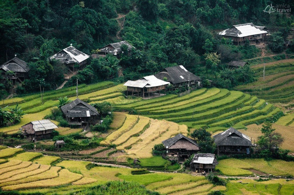 rizieres en terrasse mu cang chai