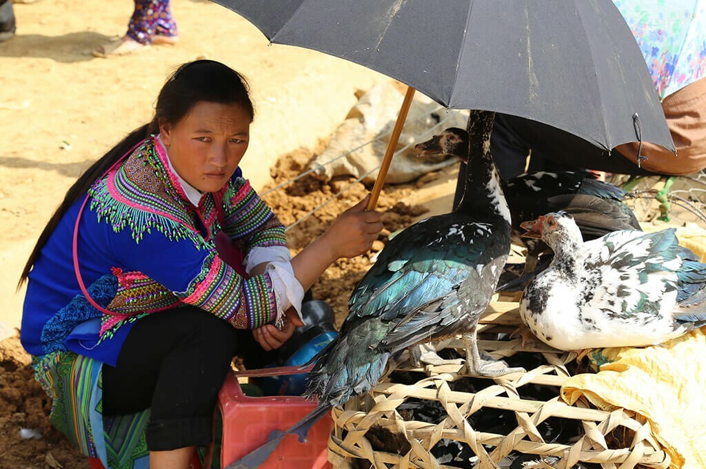 vendeuse volaille Bac Ha