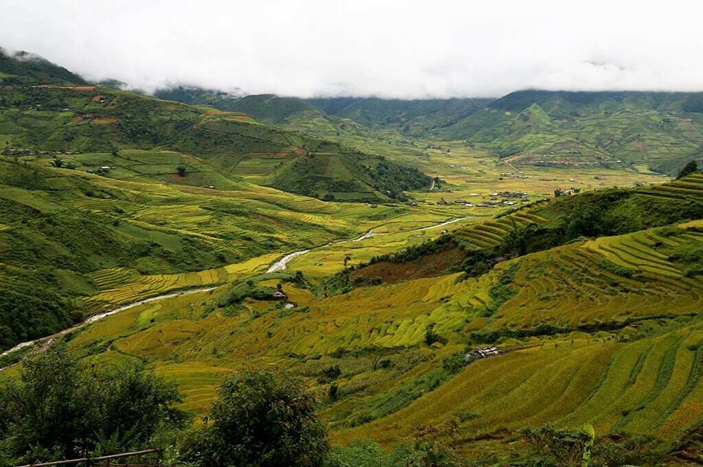 Rizières en terrasseTu Le Yen Bai