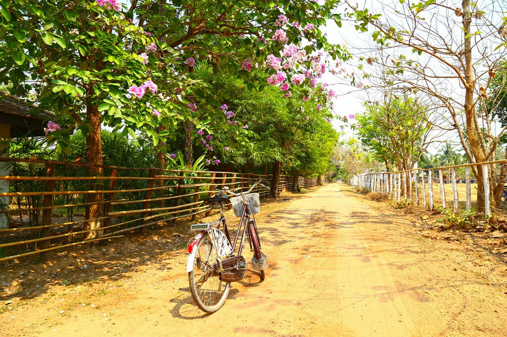 Découvrir l'île de Don Daeng en vélo decouverte ile don daeng en velo