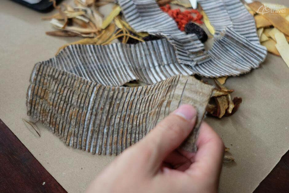 écorce arbre élastique