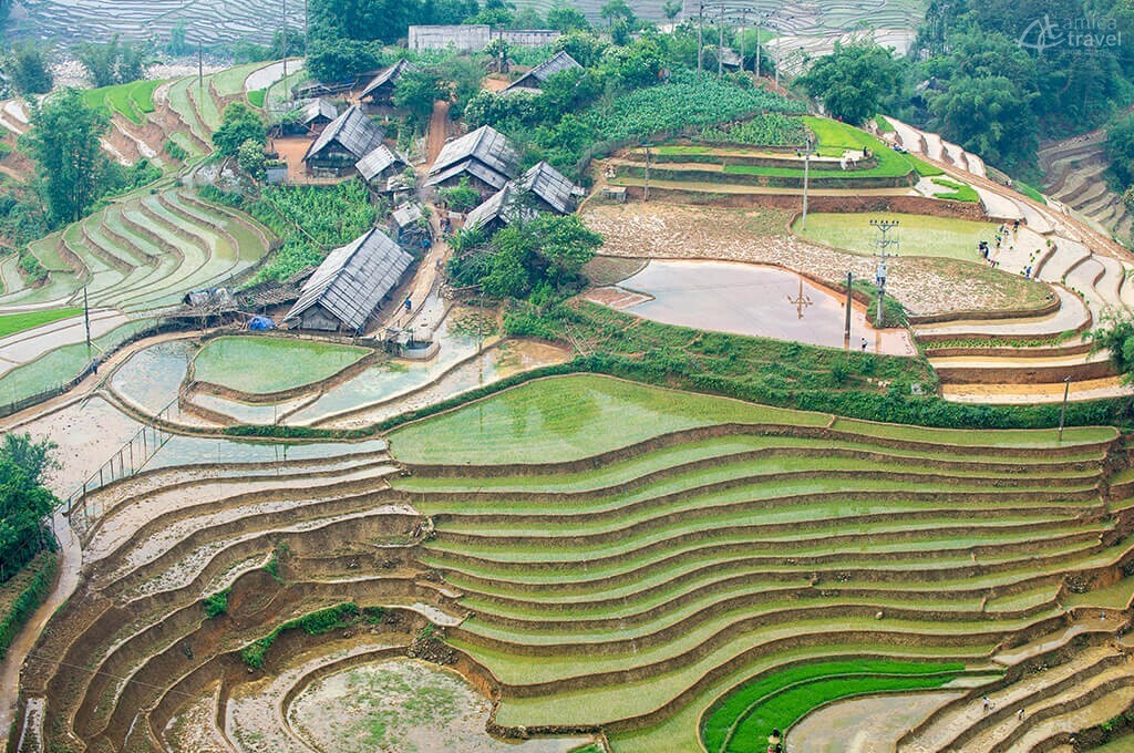 Rizières en terrasse Sapa Vietnam