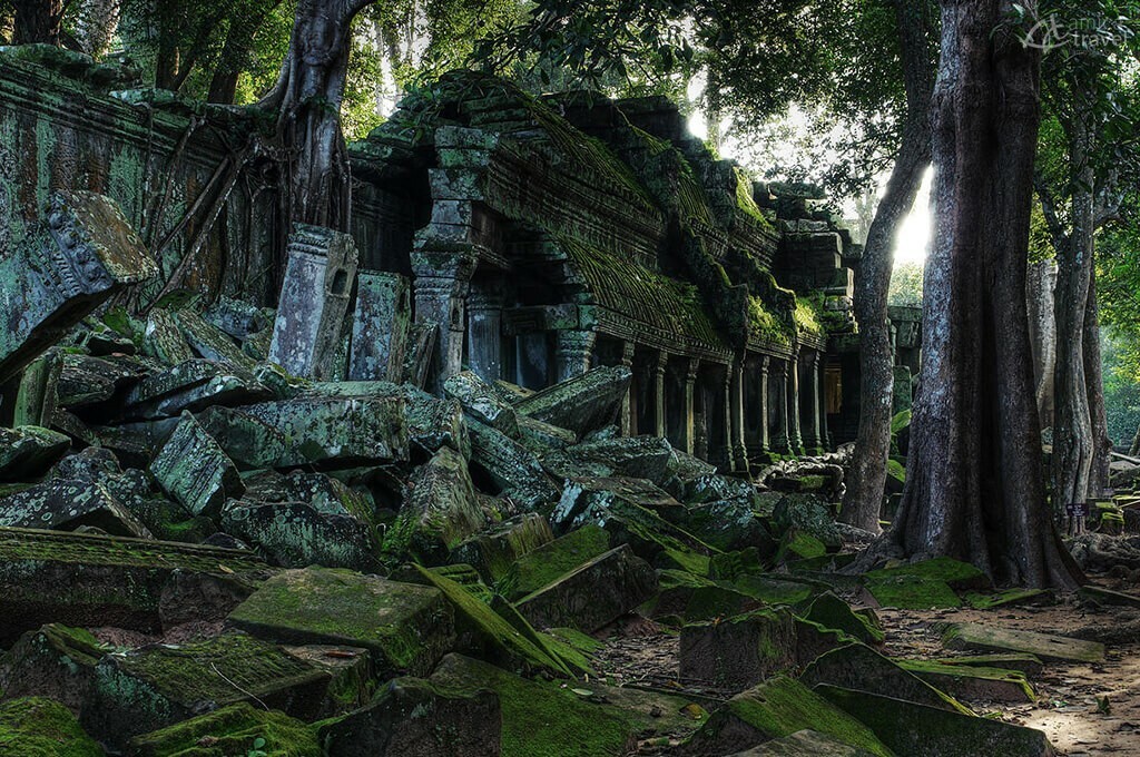Ta Prohm Cambodge