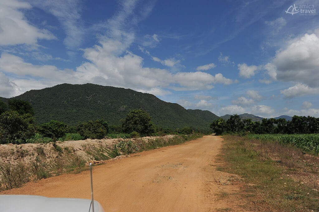 Chemin dans la région du Panduranga chemin panduranga vietnam