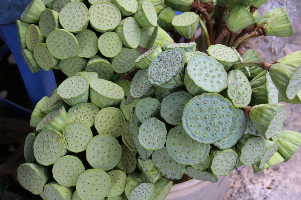 faux-fruit du lotus saigon