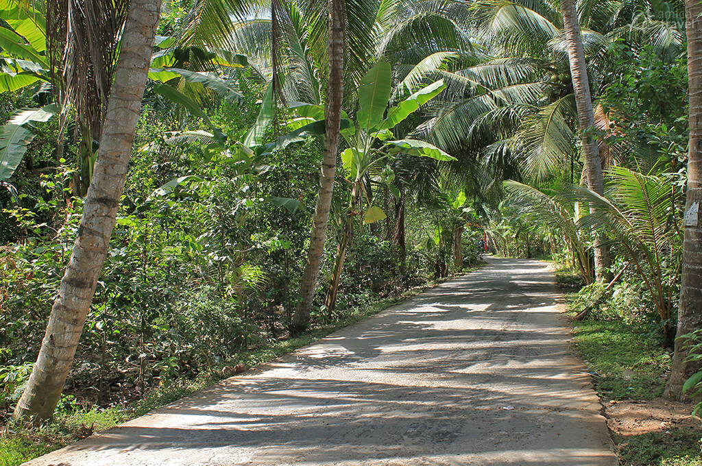 decouvrir velo des cocotiers