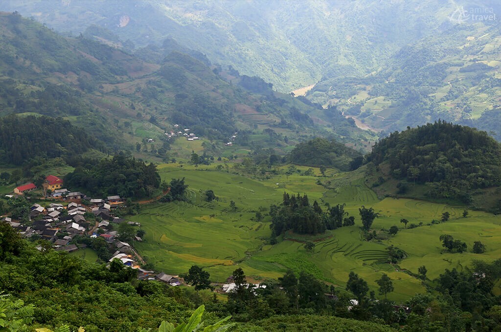 rizières bac ha vietnam