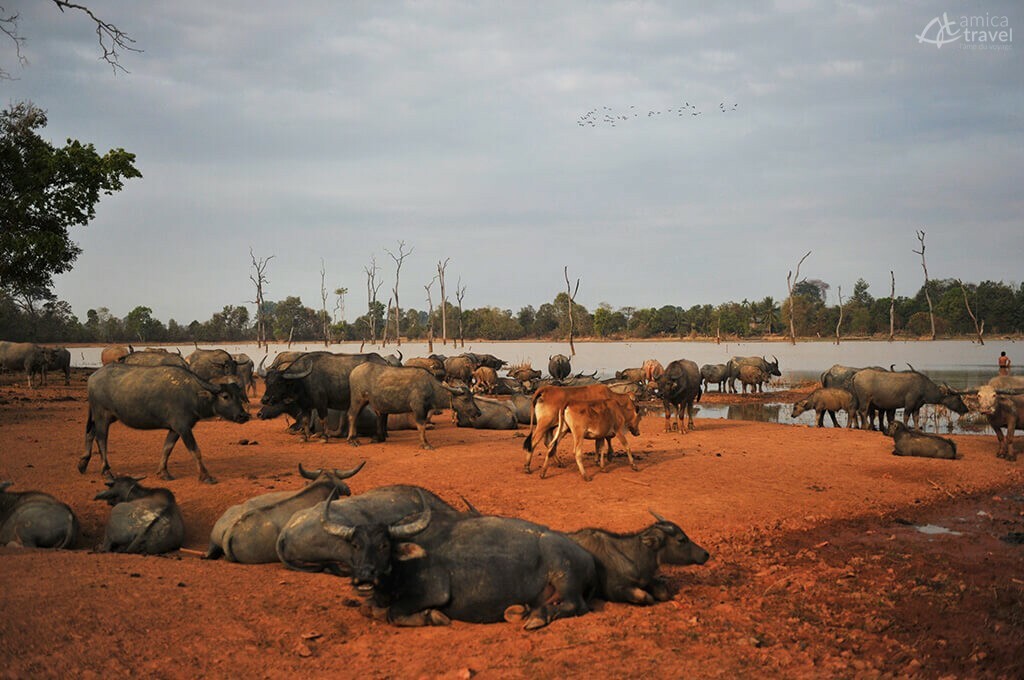 au bord riviere ratanakiri Cambodge