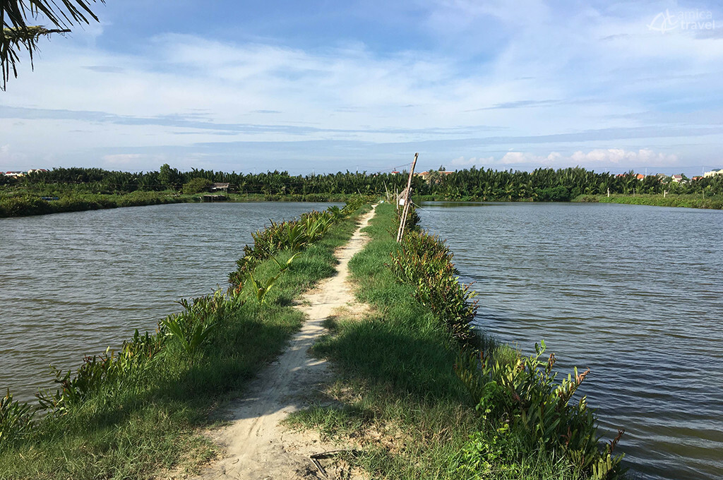 balade velo campagne hoiannaise