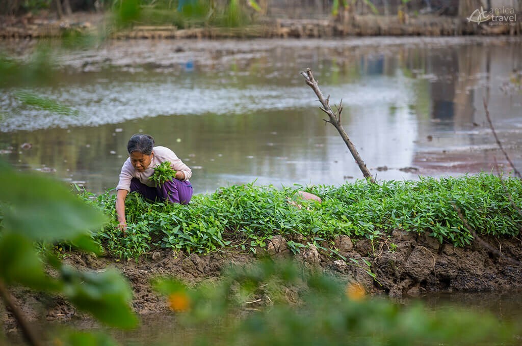 vie locale Tam Coc