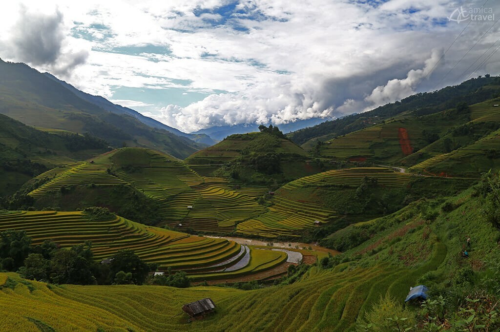 rizières en terrasses jaunes Yen Bai