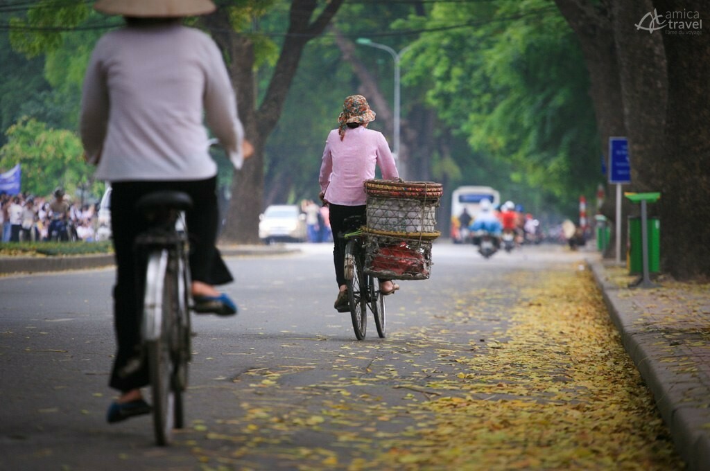 rue hanoï vietnam