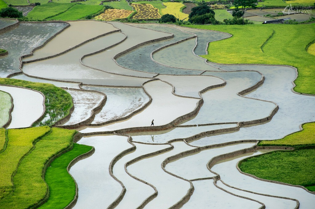 rizieres en terrasse mu cang chai