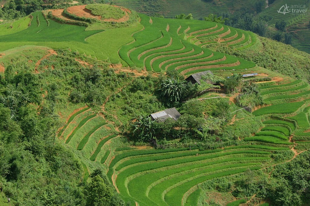 Rizières en terrasses Sapa Nord du Vietnam