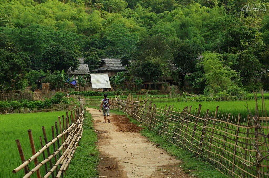 Immersion le village de Mai Hich Mai Chau