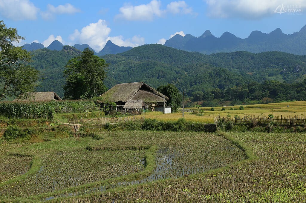 Au pied du massif du Tay Con Linh immersion chez l'habitant au pied du massif tay con linh ha giang