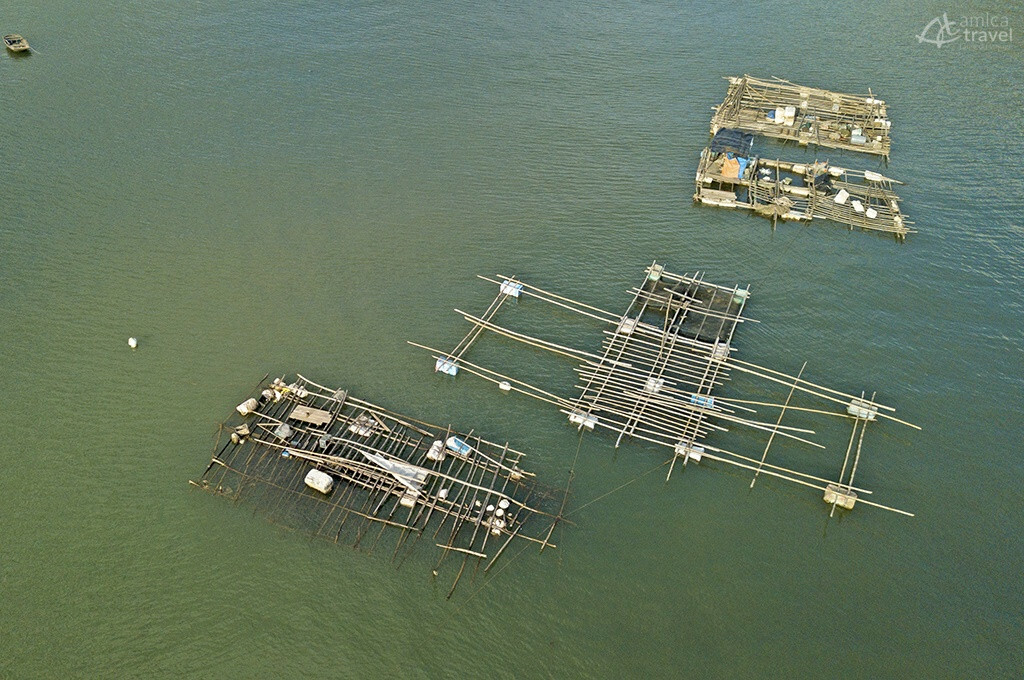 Activités de pêche activites peche