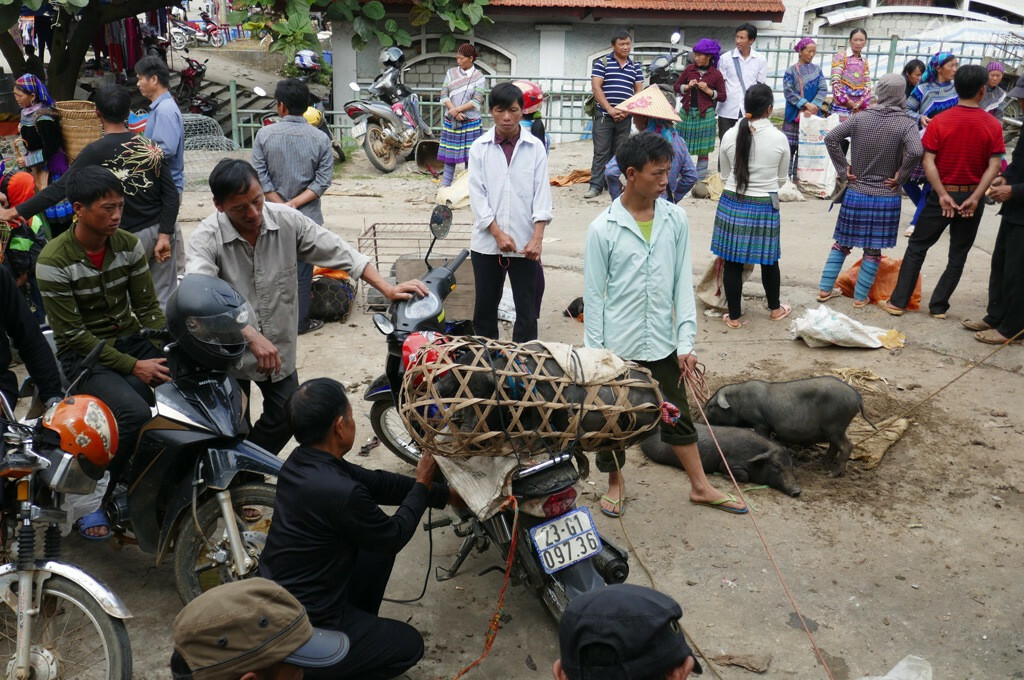Marché local de Hoang Su Phi marche local hoang su phi