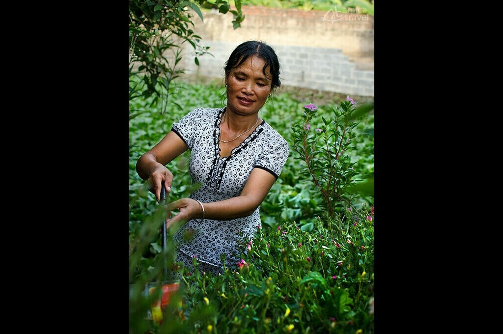 Mme Dan dans son petit potager mme dan dans son jardin non khe Ninh Binh Vietnam