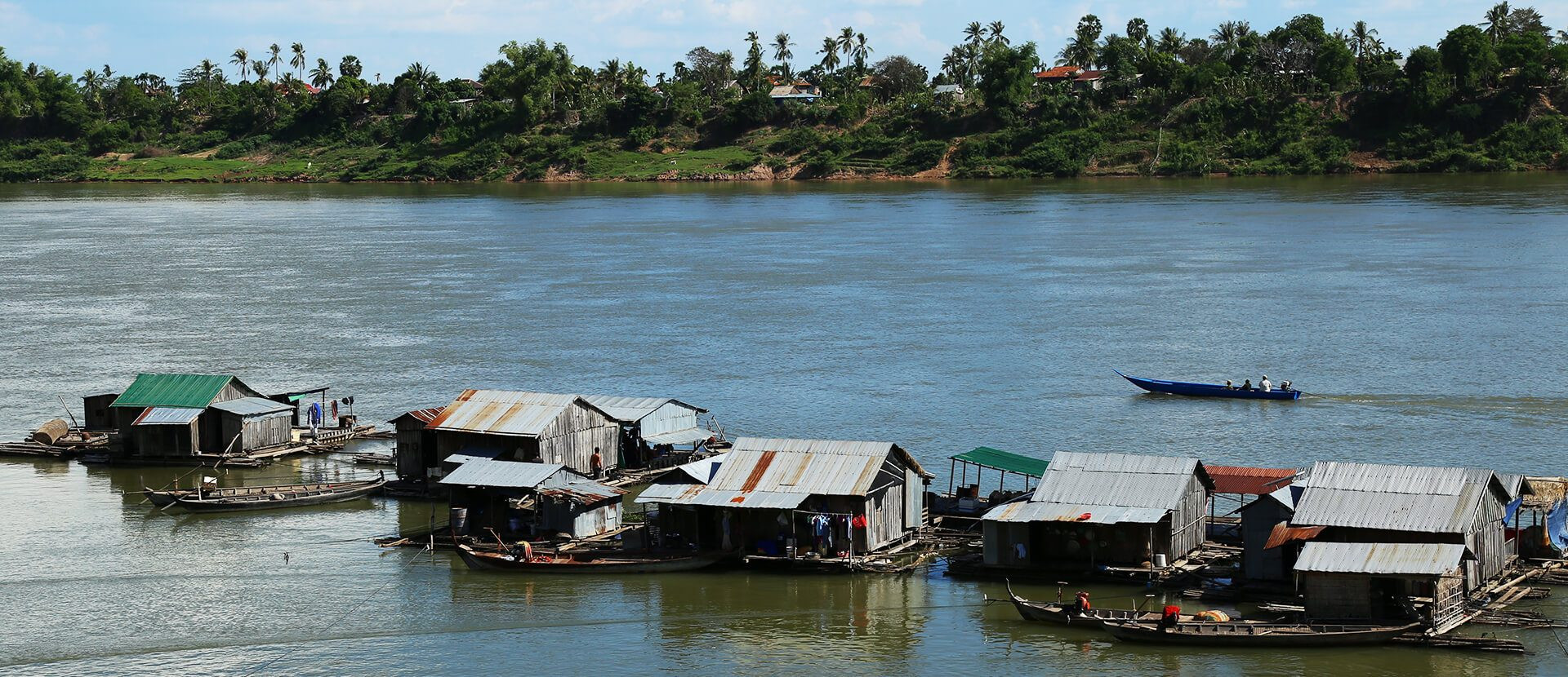 koh dach