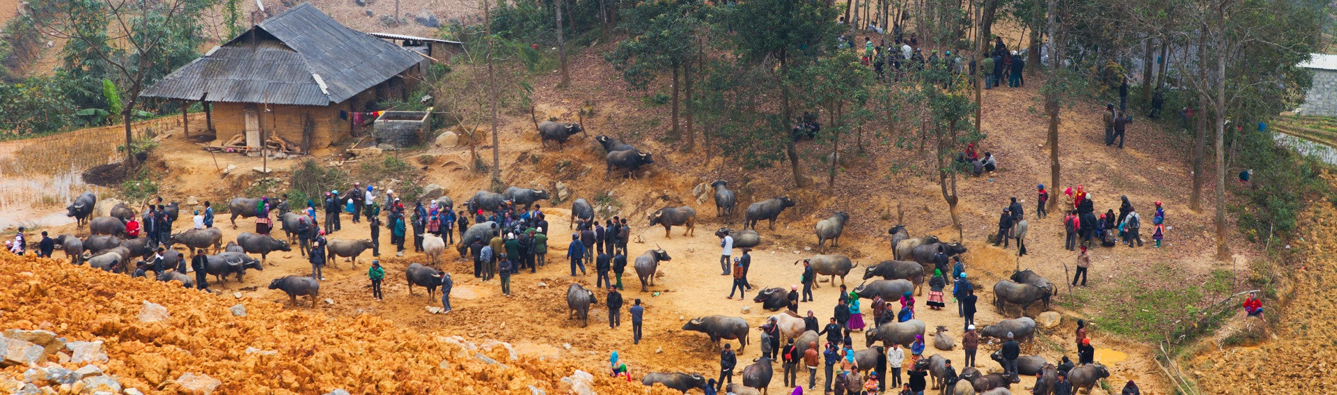 marche can cau lao cai