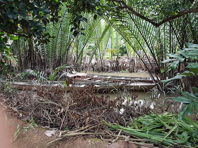 beaute nature vietnam