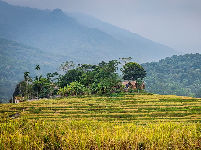 montagne vietnam