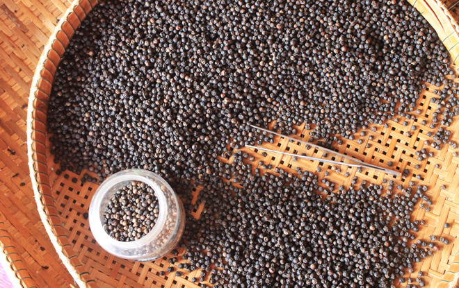 poivre kampot cuisine cambodgienne khmÃ¨re