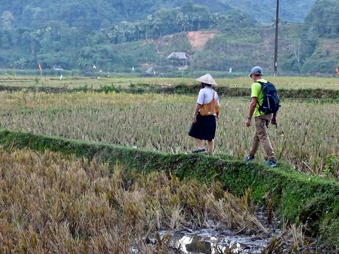 campagne vietnam